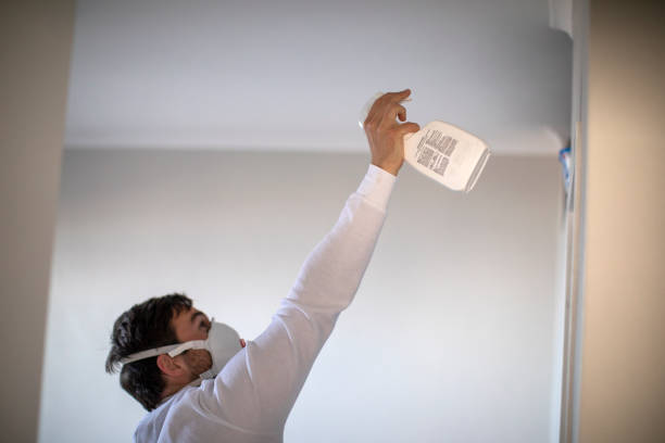 Best Bathroom Mold Remediation in Roseville, CA