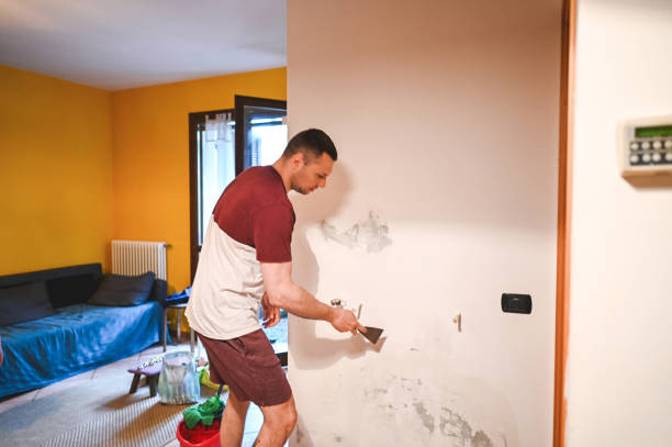 Best Insurance-Related Mold Remediation in Roseville, CA